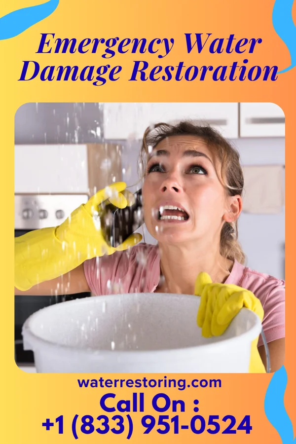 Emergency Water Damage Restoration in Scissors, TX