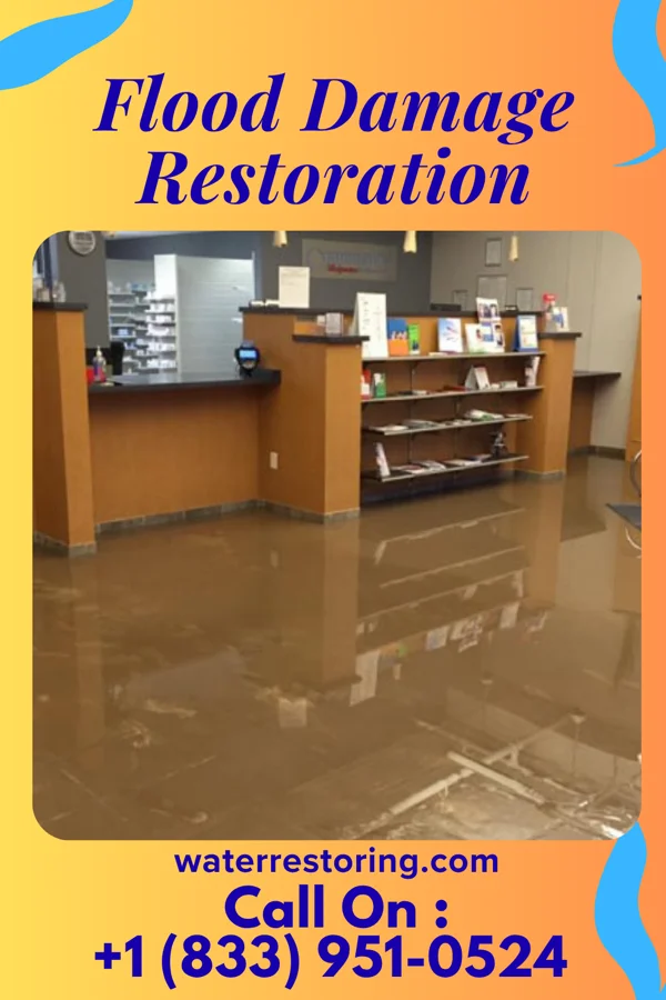 Flood Damage Restoration in Scissors, TX