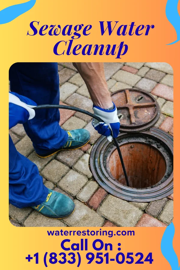 Sewage Water Cleanup in Scissors, TX