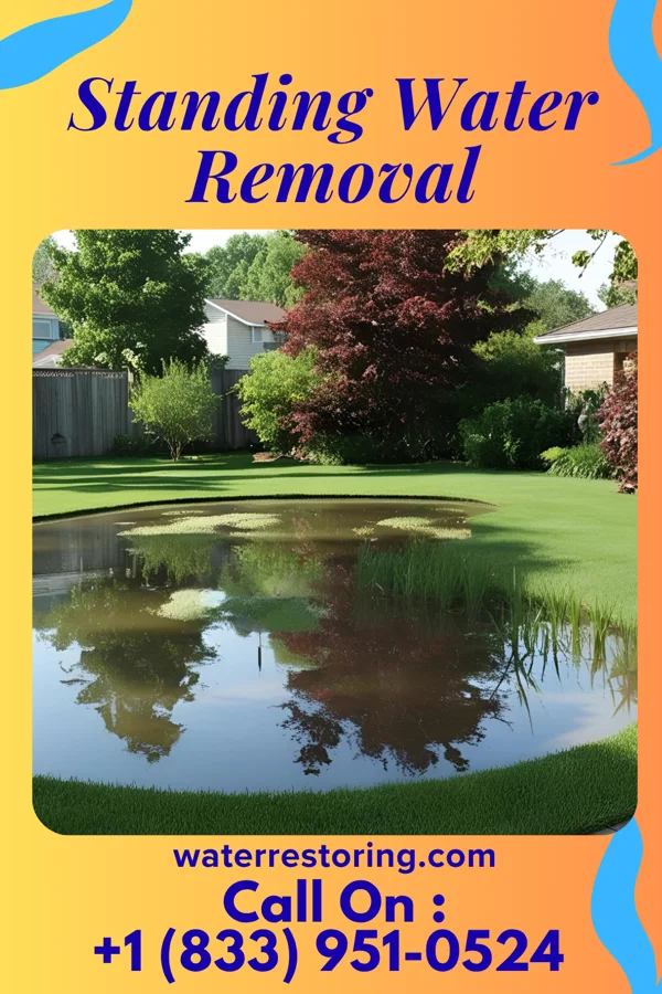 Standing Water Removal in Scissors, TX